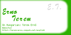 erno terem business card